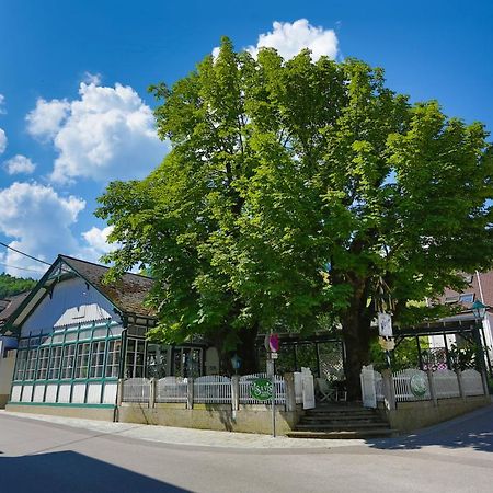 Apartment Welser Ybbsitz Kültér fotó