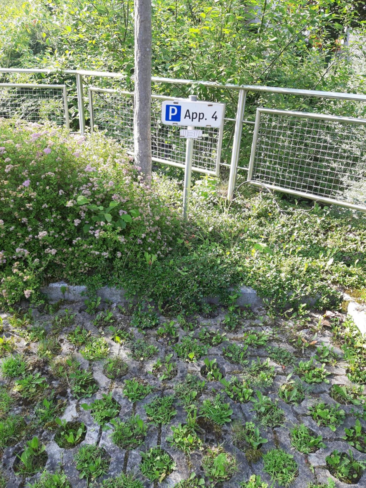 Apartment Welser Ybbsitz Kültér fotó